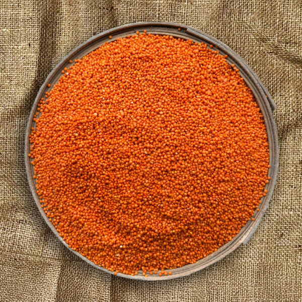 Yerli Kırmızı Futbol Mercimek 1 Kg